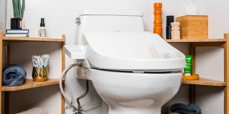 Male Vs Female Toilet Seat: The Ultimate Guide for a Happy Home.