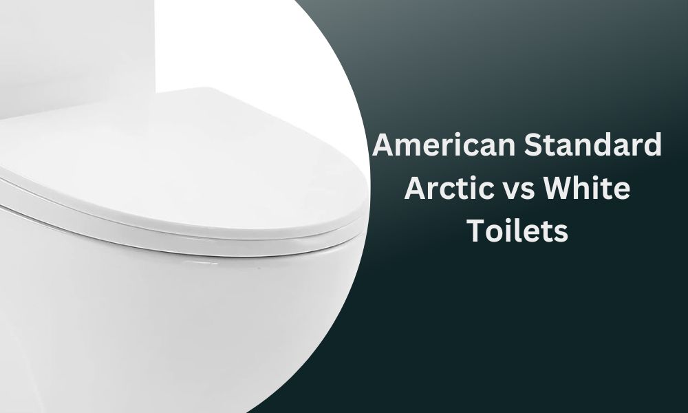 American Standard Arctic vs White Toilets