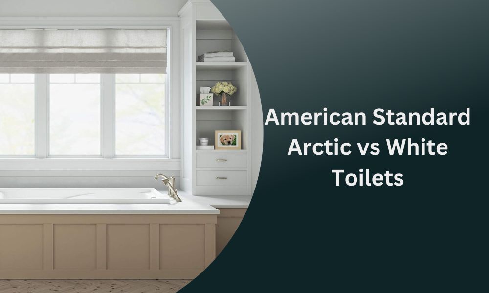 American Standard Arctic vs. White Toilets