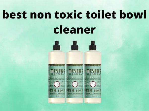best non toxic toilet bowl cleaner