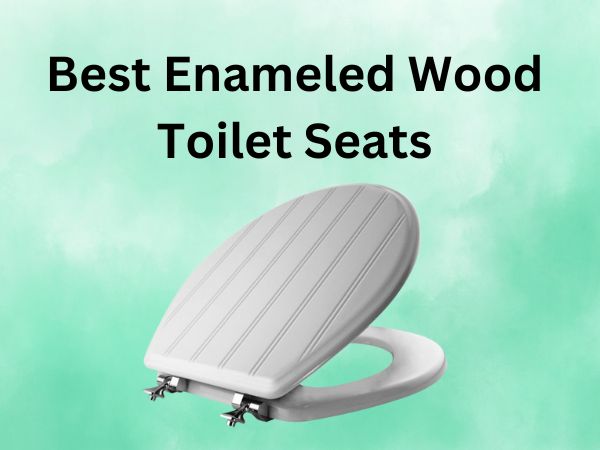 What Is The Best Enameled Wood Toilet Seats?[IN 2024]