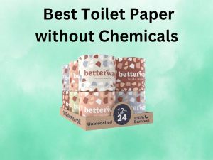 The 6 Best Toilet Paper Without Lint [In 2025]