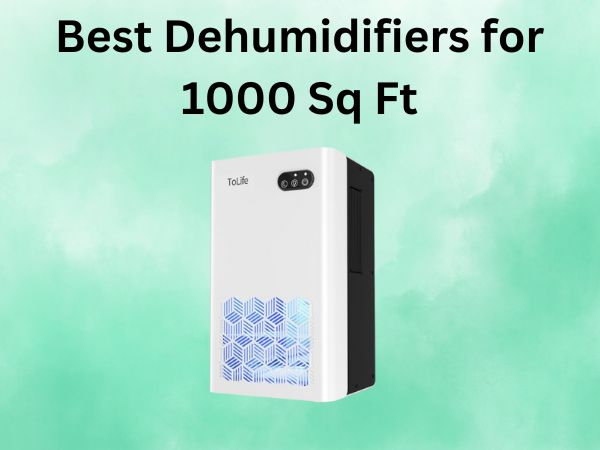5 Best Dehumidifiers for 1000 Sq Ft [In 2025]