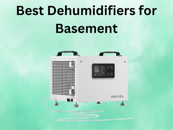 What Is The Best Dehumidifiers for Basement [In 2025]