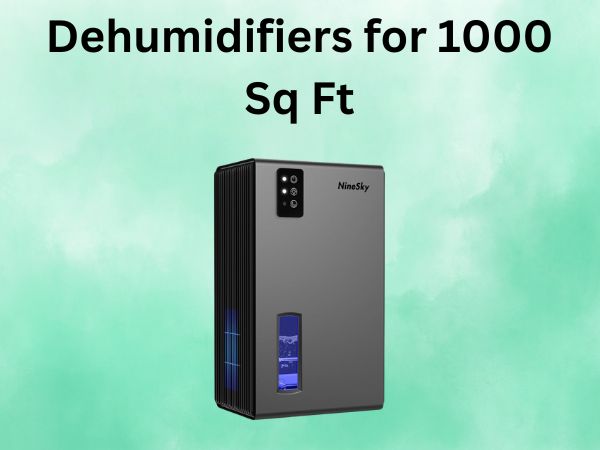 Dehumidifiers for 1000 Sq Ft