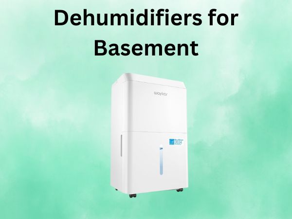 Dehumidifiers for Basement