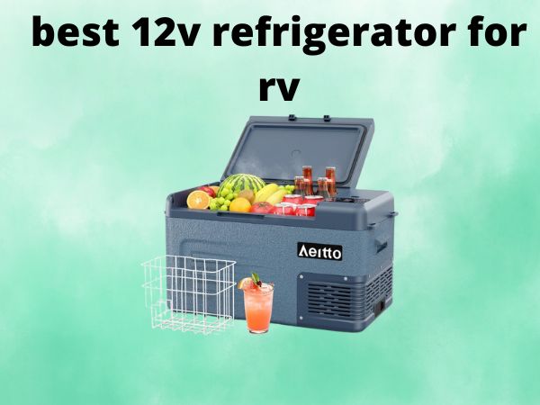 5 Best 12v Refrigerators for RV [In 2025]