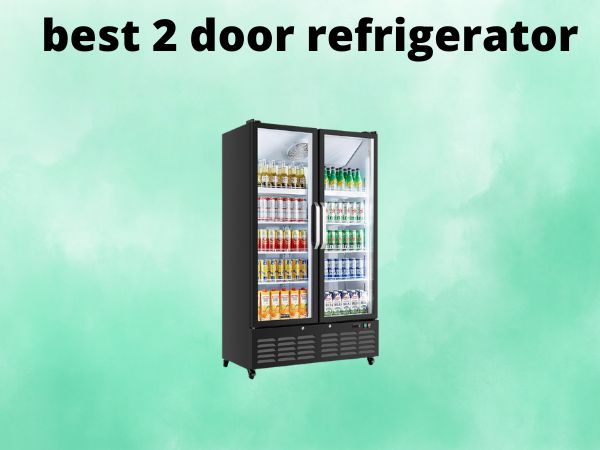 What Is The Best 2 Door Refrigerators [In 2025]