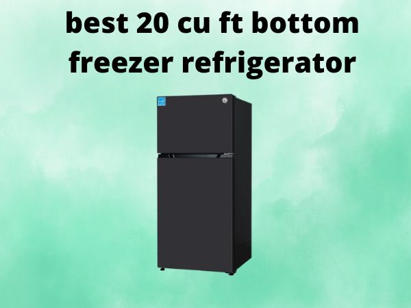5 Best 20 Cu Ft Bottom Freezer Refrigerators [In 2025]
