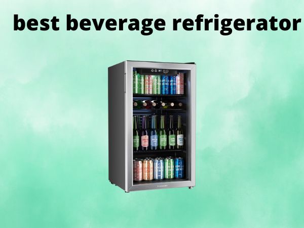 5 Best Beverage Refrigerators [In 2025]