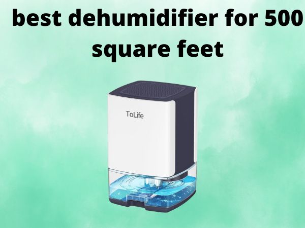 5 Best Dehumidifiers for 500 Square Feet [In 2025]