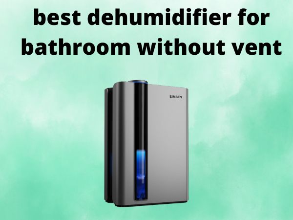 5 Best Dehumidifiers for Bathroom Without Vent [In 2025]