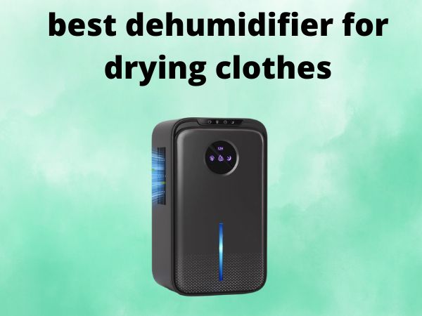 5 Best Dehumidifiers for Drying Clothes [In 2025]