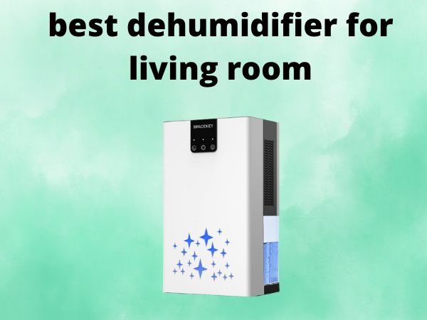 5 Best Dehumidifiers for Small Spaces [Compact Solutions for a Drier, Healthier Home]