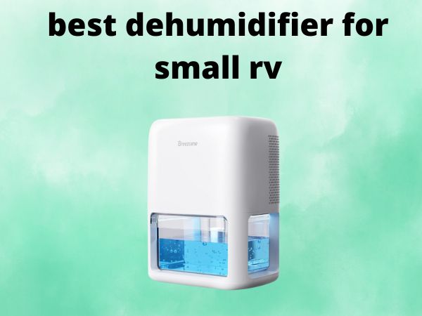 5 Best Dehumidifiers for Small RVs [In 2025]