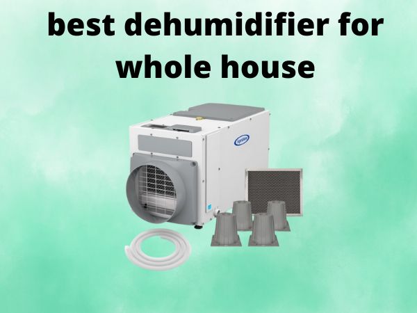 What Is The Best Dehumidifiers for Whole House [In 2025]