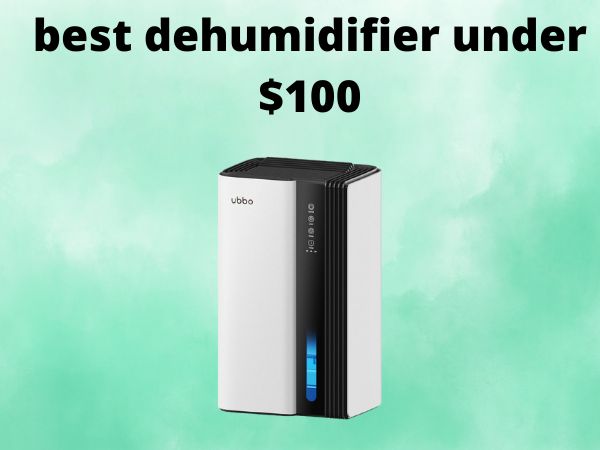 5 Best Dehumidifiers Under $100 [In 2025]