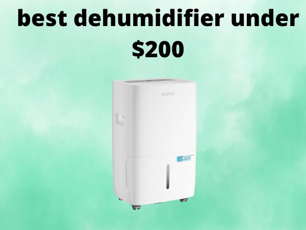 What Is The Best Dehumidifiers Under $200 [In 2025]