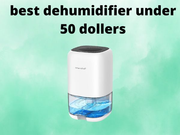 What Is The Best Dehumidifiers Under $50 [In 2025]