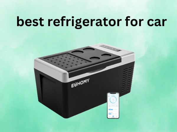 What Is The Best Refrigerators for Car [In 2025]