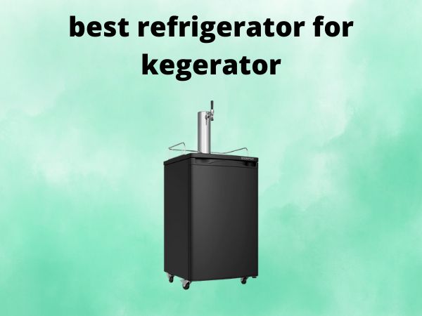 5 Best Refrigerators for Kegerator Conversion [In 2025]