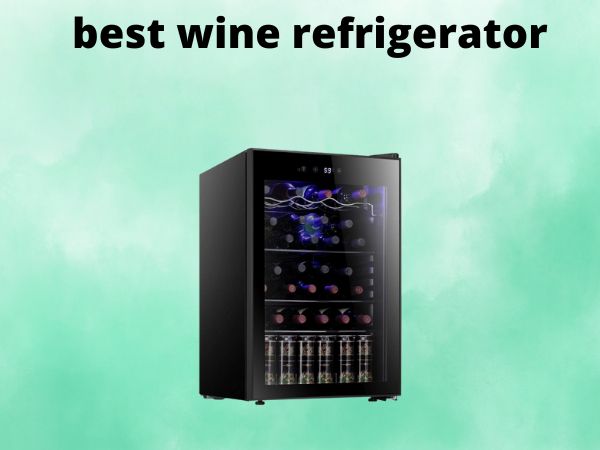 What Is The Best Wine Refrigerators [In 2025]