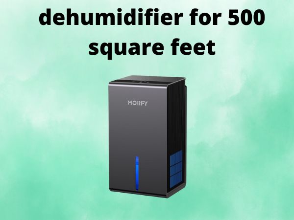 dehumidifier for 500 square feet