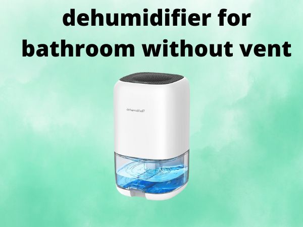 dehumidifier for bathroom without vent