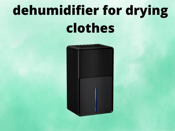 dehumidifier for drying clothes