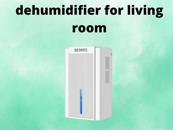 dehumidifier for living room