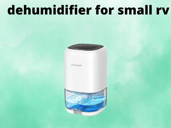 dehumidifier for small rv