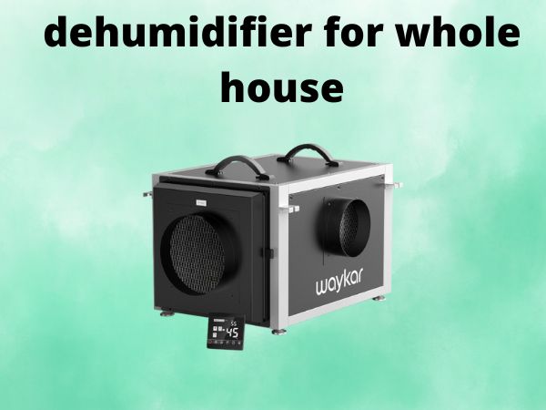 dehumidifier for whole house