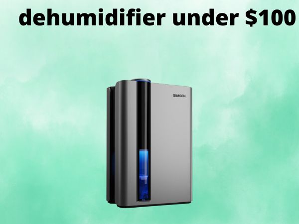 dehumidifier under $100