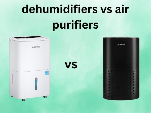 dehumidifiers vs air purifiers