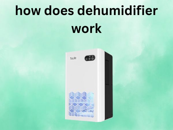 How Does a Dehumidifier Work: Complete Guide to Understanding Your Home’s Moisture Manager