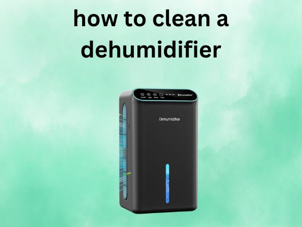 How to Clean a Dehumidifier [A Complete Step-by-Step Guide]