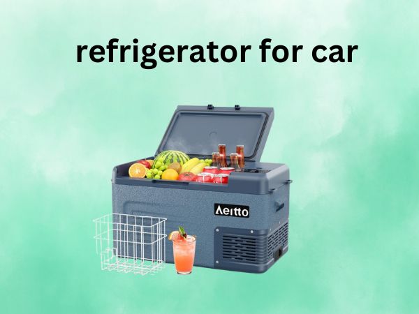 refrigerator for car