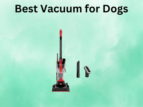 5 Best Vacuum for Dogs [In 2025]