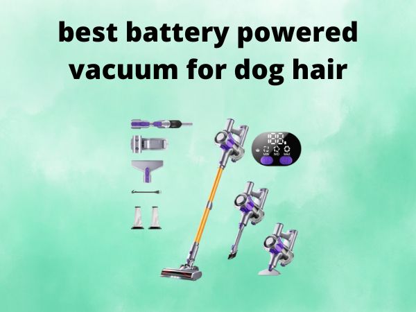 What Is The Best Battery Powered Vacuum for Dog Hair [In 2025]