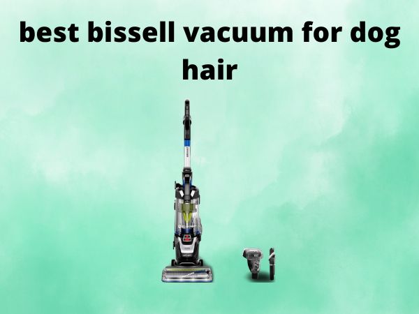 5 Best Bissell Vacuums for Dog Hair [In 2025]