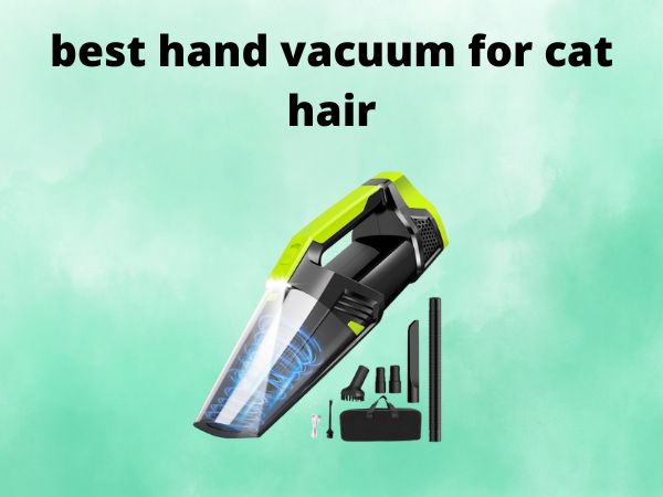 5 Best Hand Vacuums for Cat Hair [In 2025]