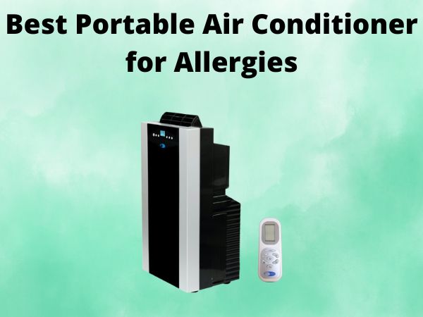 Best Portable Air Conditioner for Allergies