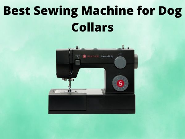 What Is The Best Sewing Machine for Dog Collars [In 2025]