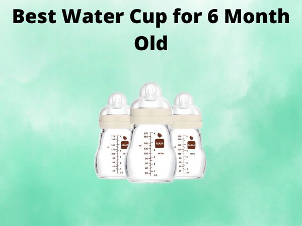 5 Best Water Cup for 6 Month Old [In 2025]