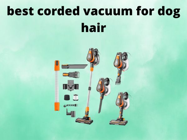 5 Best Corded Vacuums for Dog Hair [In 2025]