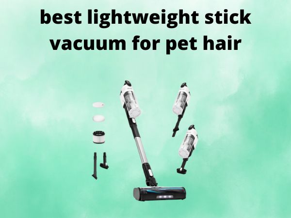 5 Best Lightweight Stick Vacuums for Pet Hair [In 2025]