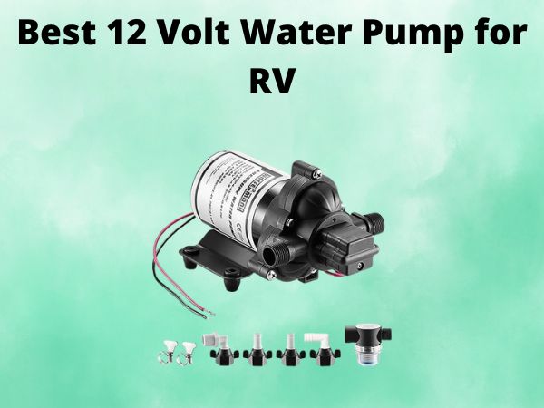 5 Best 12 Volt Water Pump for RV [In 2025]