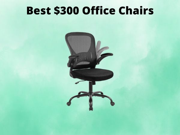 5 Best $300 Office Chairs [In 2025]
