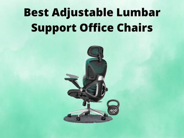 5 Best Adjustable Lumbar Support Office Chairs [In 2025]