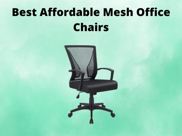 5 Best Affordable Mesh Office Chairs [In 2025]